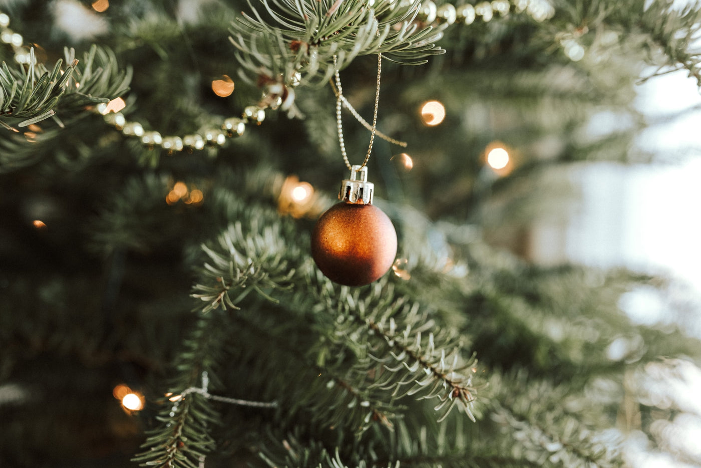 Christmas tree limbs with lights and orange ball ornament