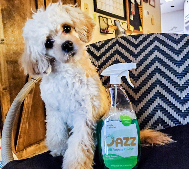 Are Lysol And Other Popular Cleaning Products Safe For Your Pet? – DAZZ  Cleaner