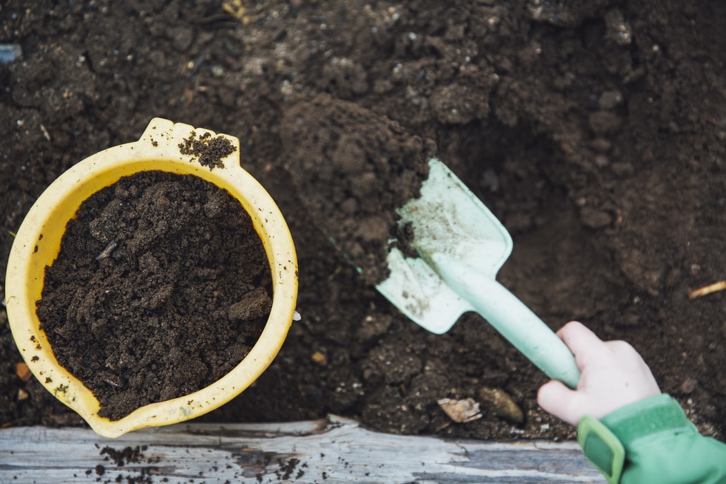 National Learn About Composting Day