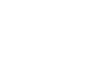 Dazz Cleaning Tablets Logo