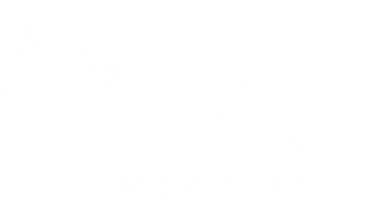 The DAZZ Collection